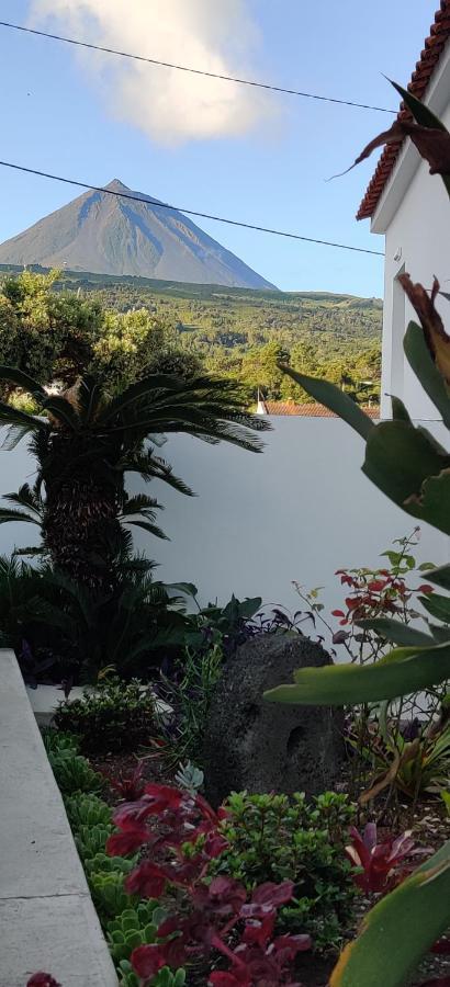 Вілла Casa Da Avo Biza Са́н-Ро́ке-ду-Пі́ку Екстер'єр фото